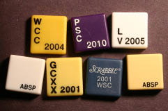 Custom SCRABBLE tile blanks with writing